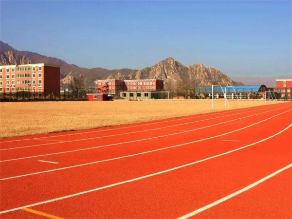 惠州市塑胶跑道翻新学校塑胶跑道 - 厂家